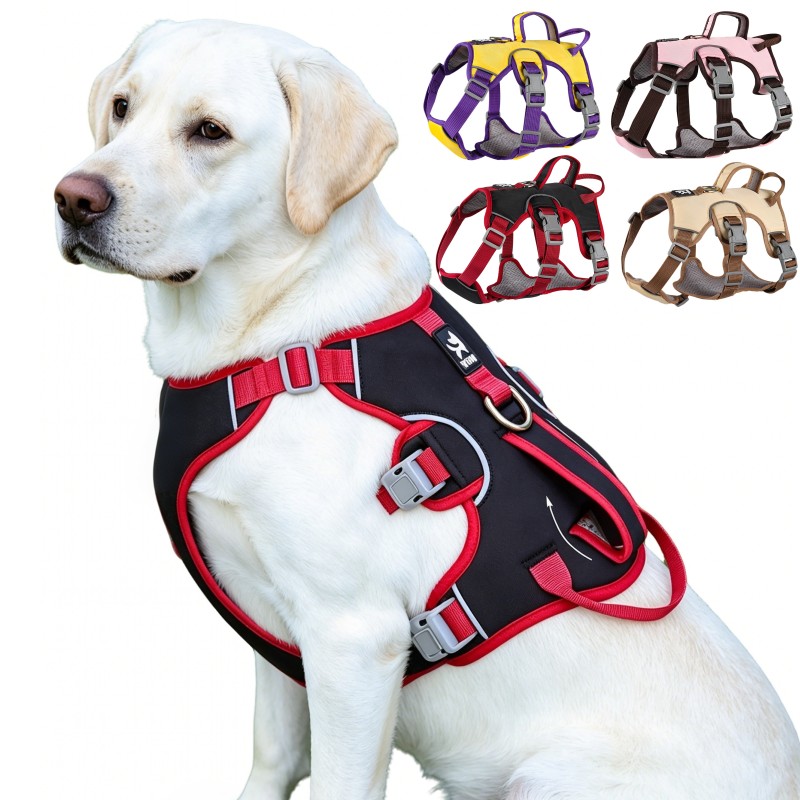 Çekişsiz Köpek Tasması Açık Ha - D Ring Strap incelemesi ve fiyatı